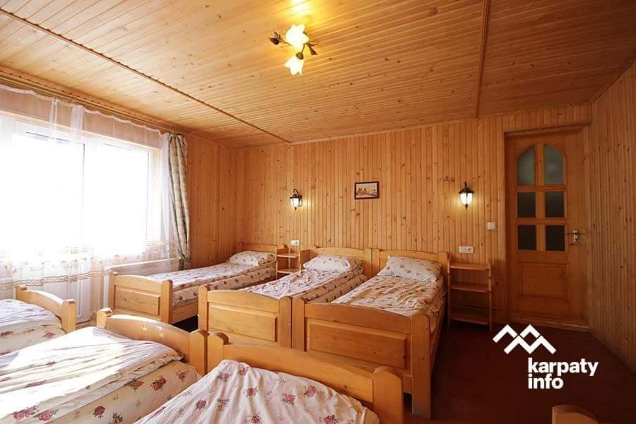 Дім з видом на гори. Виженка Екстер'єр фото