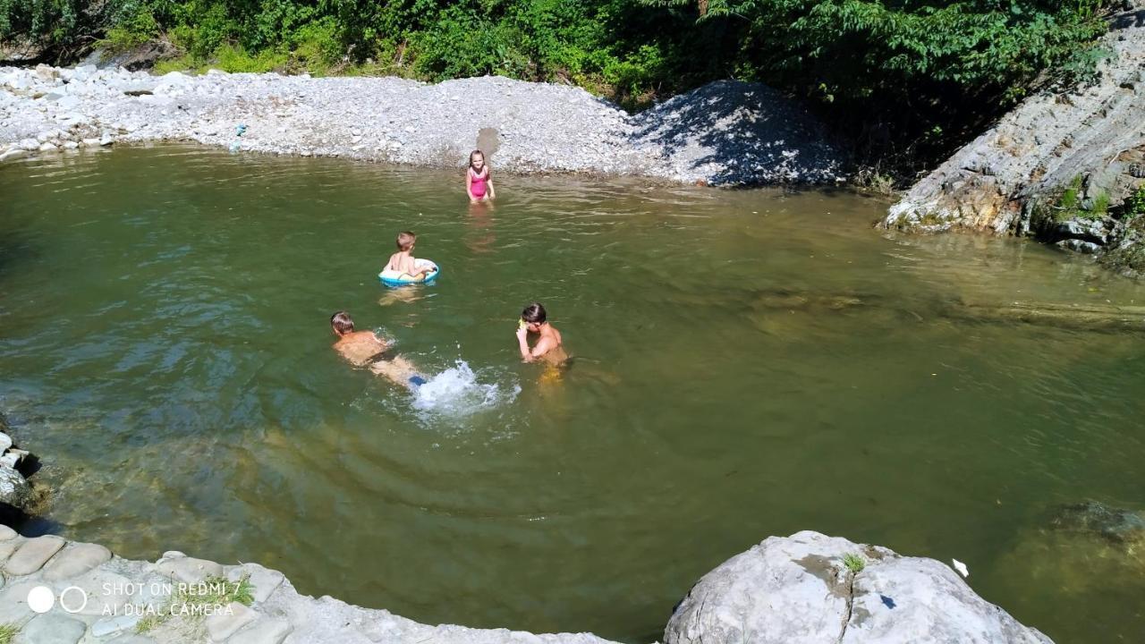 Дім з видом на гори. Виженка Екстер'єр фото