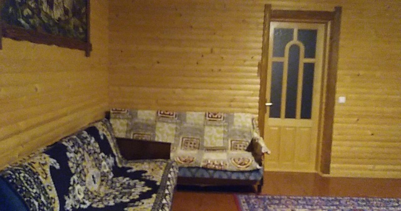 Дім з видом на гори. Виженка Екстер'єр фото