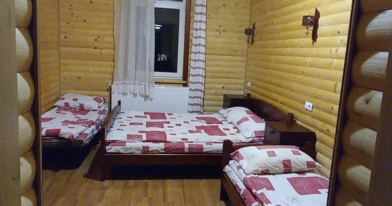 Дім з видом на гори. Виженка Екстер'єр фото