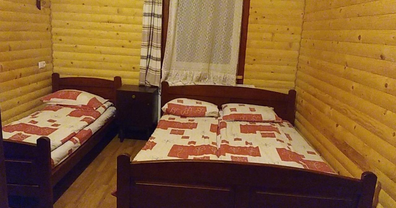 Дім з видом на гори. Виженка Екстер'єр фото