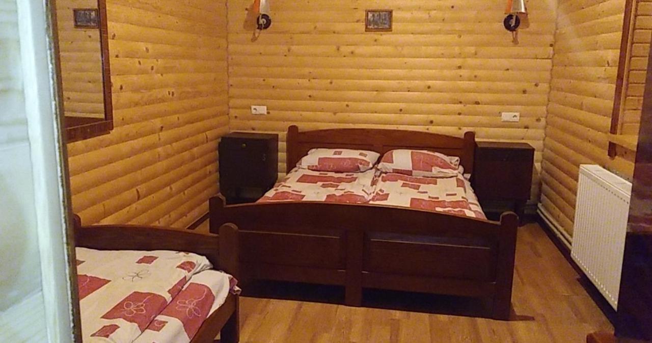 Дім з видом на гори. Виженка Екстер'єр фото