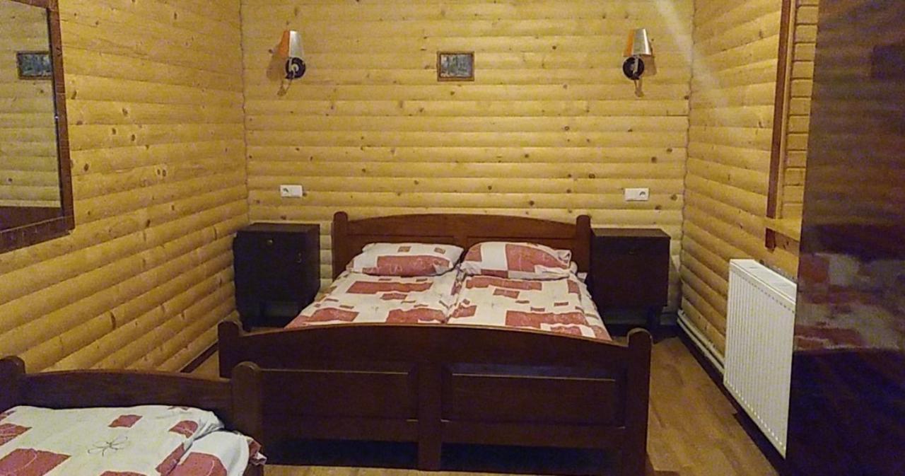Дім з видом на гори. Виженка Екстер'єр фото